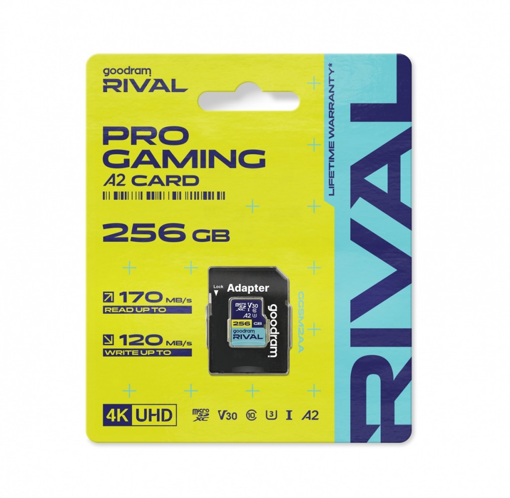 GOODRAM Memory card microSD 256GB Rival