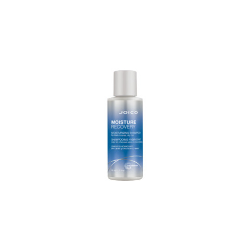 Joico Moisture Recovery Moisturizing Shampoo (dry