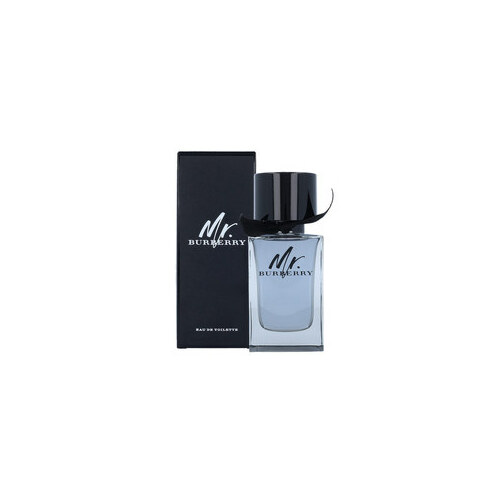 BURBERRY Mr. EDT (Man, 100ml) |