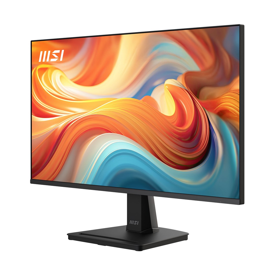 MSI  Pro MP251 E14L computer monitor