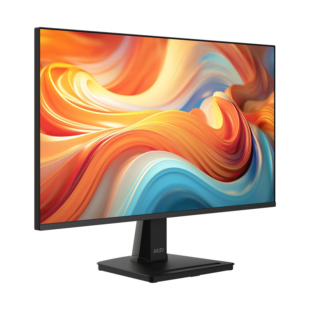 MSI  Pro MP251 E14L computer monitor