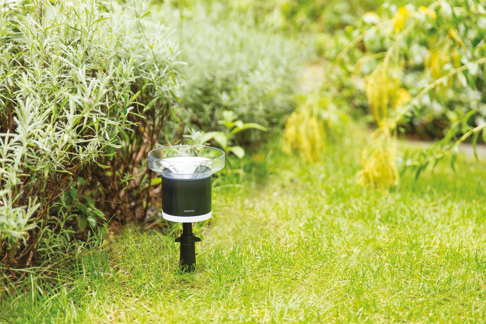 NETATMO Smart Rain Gauge | NRG