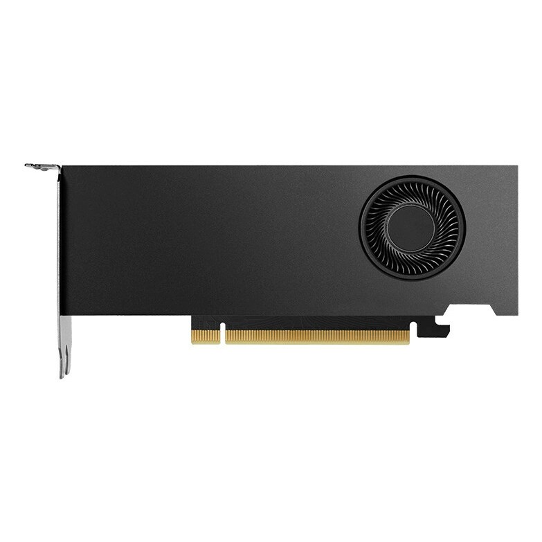 Nvidia  RTX 2000 Ada 16 GB