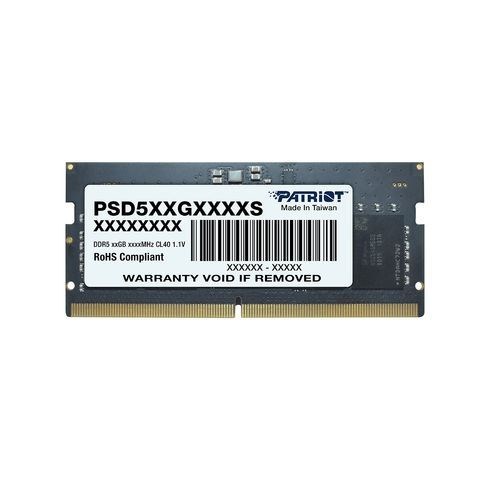 Patriot Memory Signature PSD516G560081S memory module