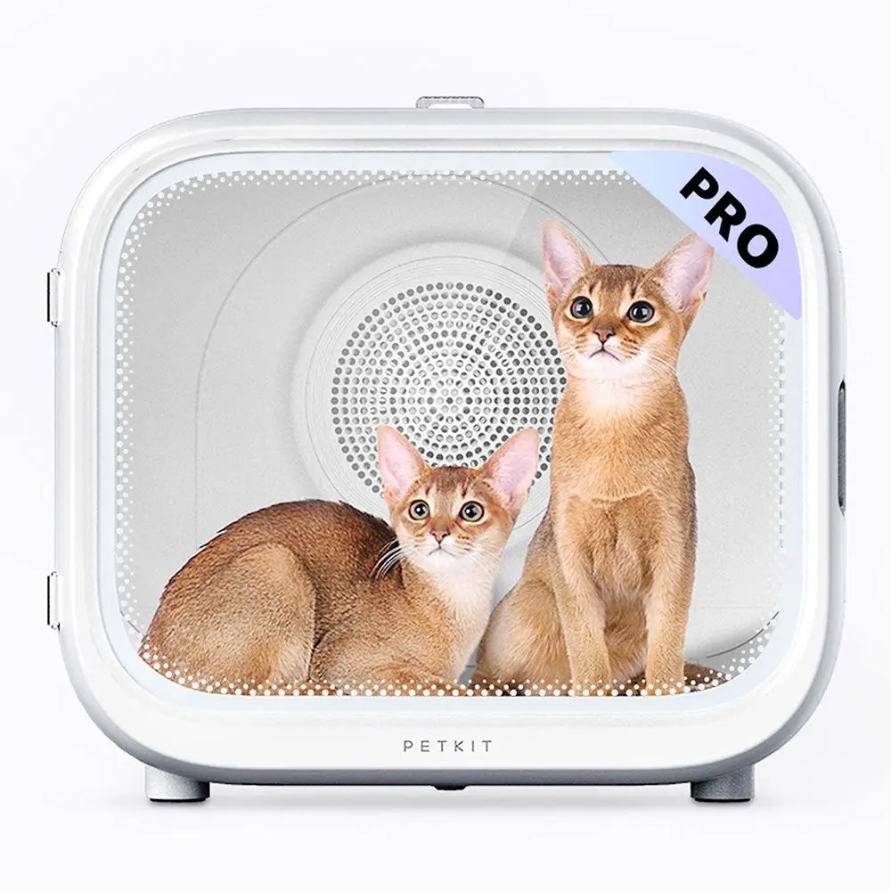 PETKIT HG-P-EU Cat White | 31679549