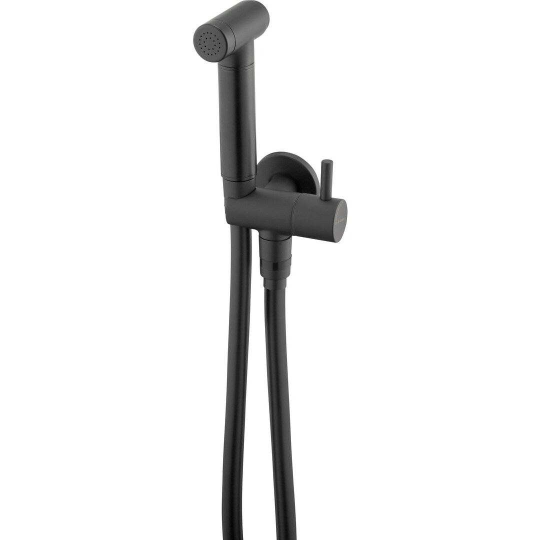 Deante Point bidetta set with angled