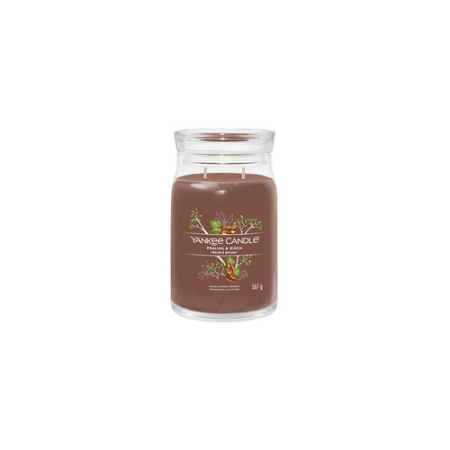 Yankee Candle Praline & Birch Signature
