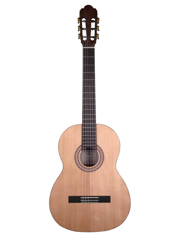 No name Prodipe Guitars Primera 4/4