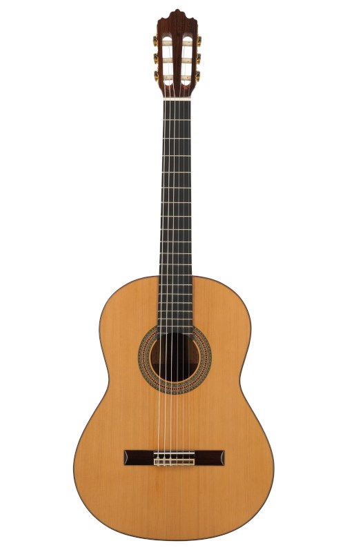 No name Prodipe Guitars Soloist 700