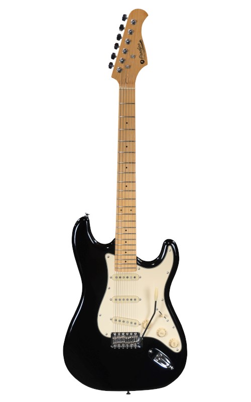 No name Prodipe Guitars ST80MA BK