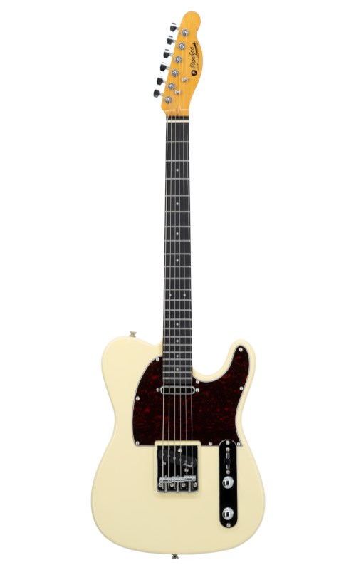 No name Prodipe Guitars TC80 RA