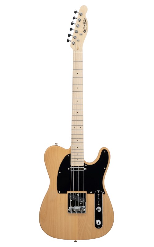 No name Prodipe Guitars TC90 Alder