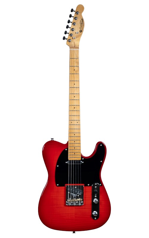 No name Prodipe Guitars TC90 Alder
