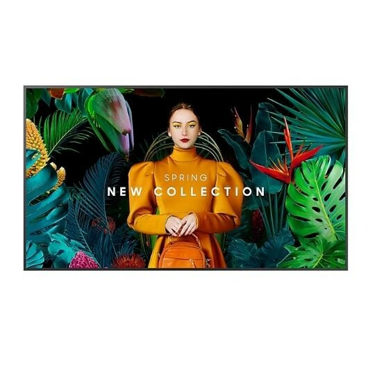 SAMSUNG  Professional monitor QB65C 65 inches