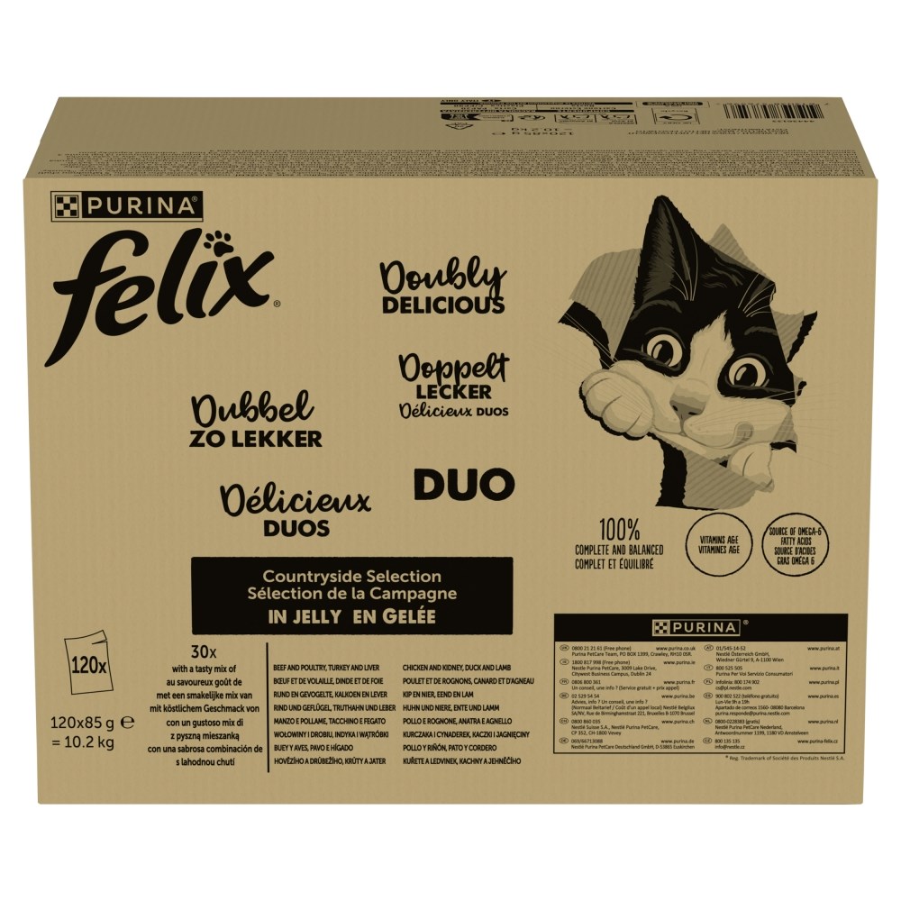 PURINA NESTLE PURINA Felix Fantastic Duo
