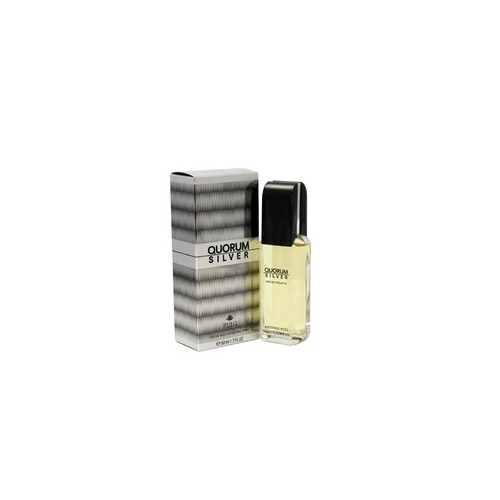 Antonio Puig Quorum Silver EDT (Man