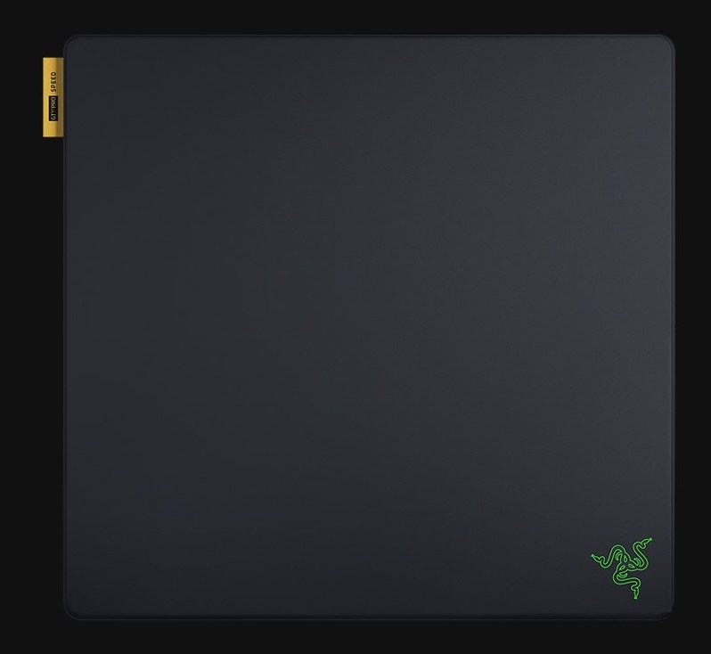 RAZER Gigantus V2 Pro Gaming mouse