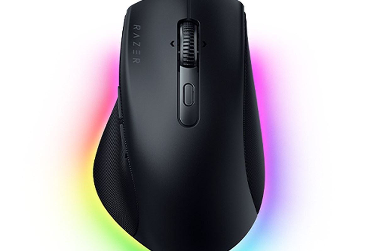 RAZER Pro Click V2 - ergonomic