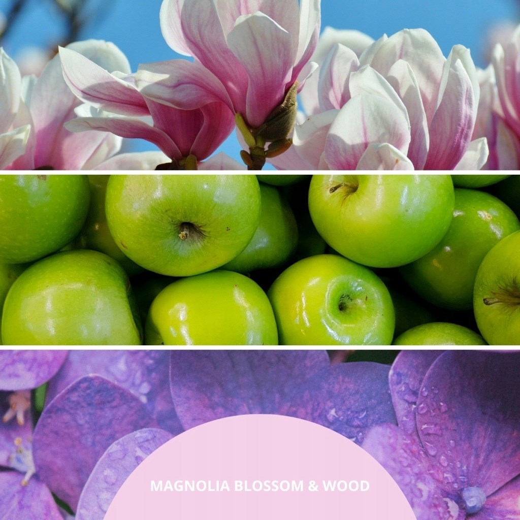 Millefiori Reed Diffuser 250 ml MAGNOLIA
