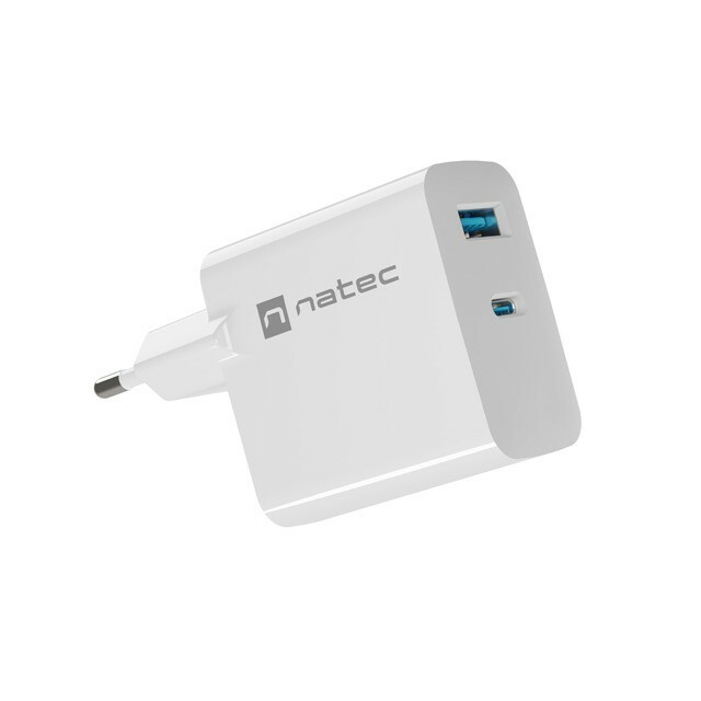 NATEC RiberaGAN USB 65W wall charger
