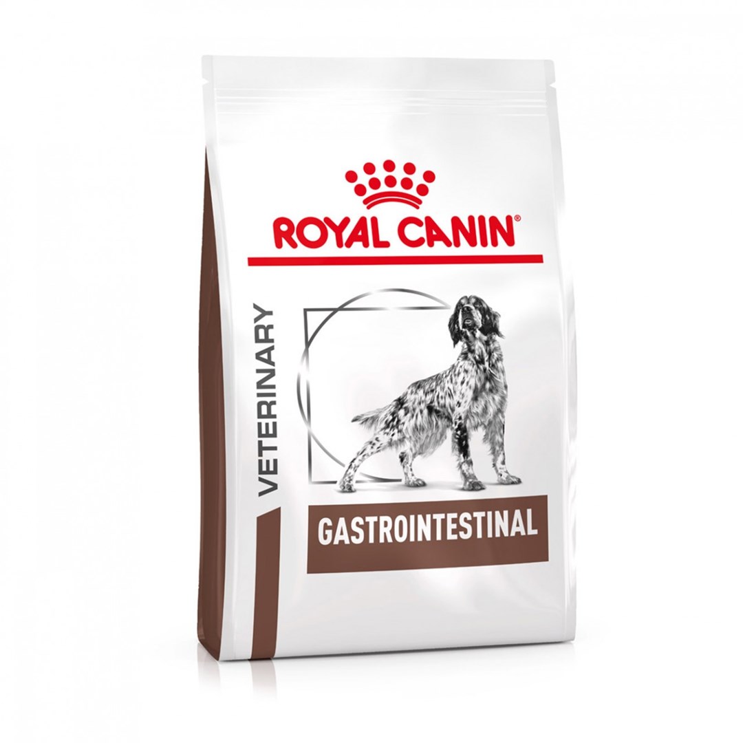 Royal Canin  Gastrointestinal - dry dog
