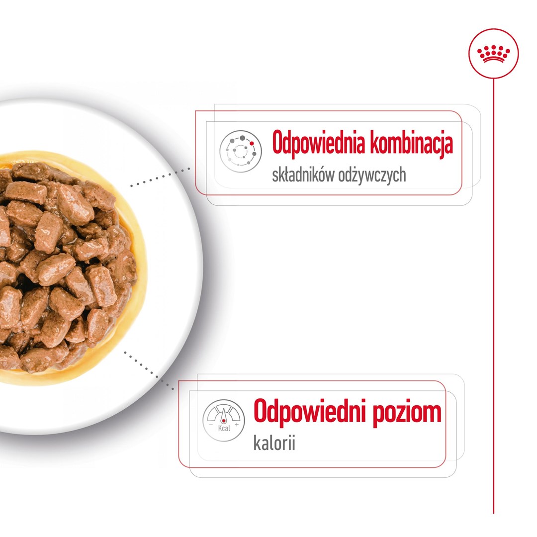 Royal Canin  Mini Ageing - wet