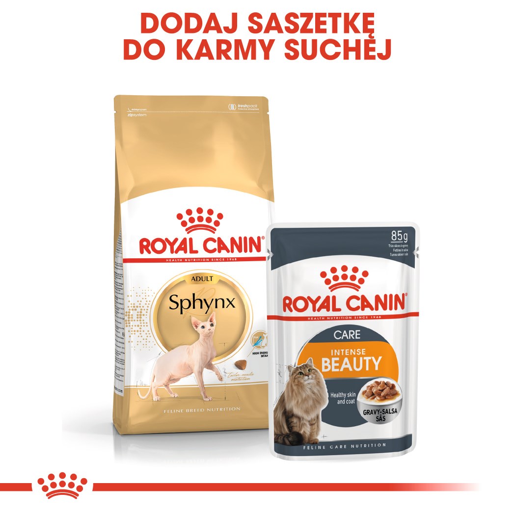 Royal Canin  Sphynx dry cat food