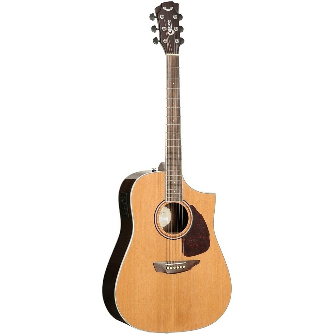 No name Samick SGW S-650D/NAT -
