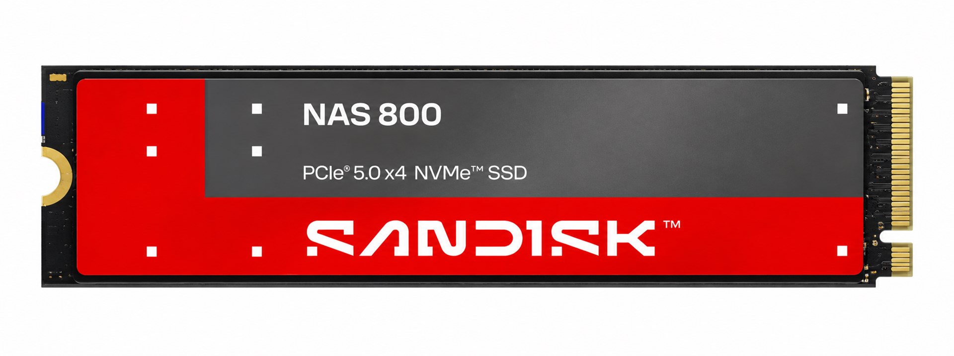 SANDISK  1.92 TB NAS 800