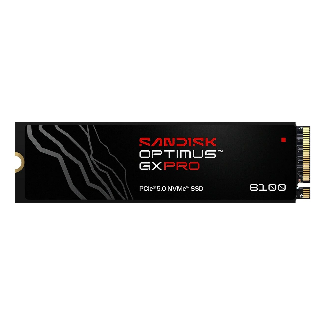 SANDISK  Optimus GX PRO 8100 1