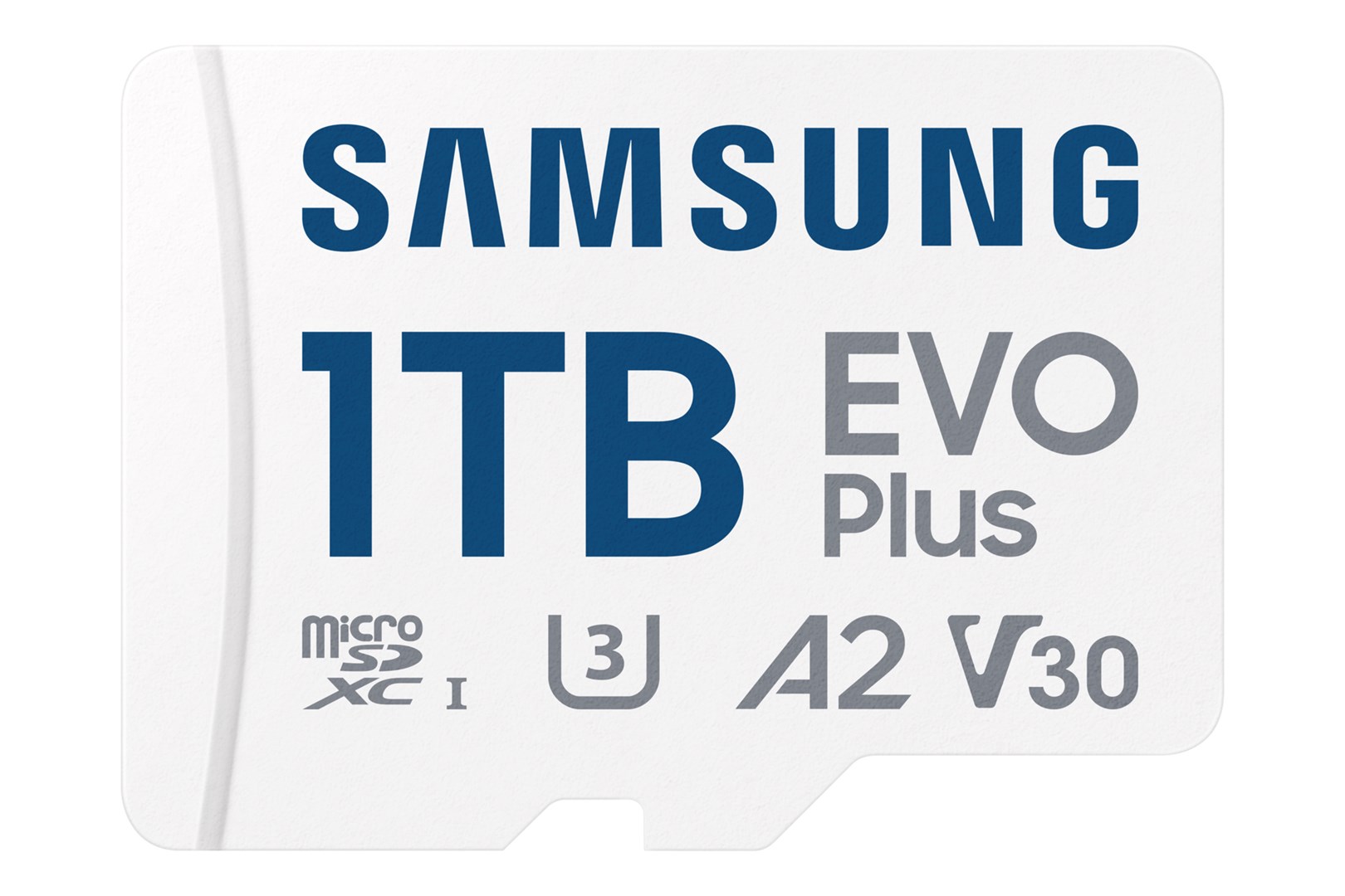 Samsung Electronics Polska SD MicroSD Card