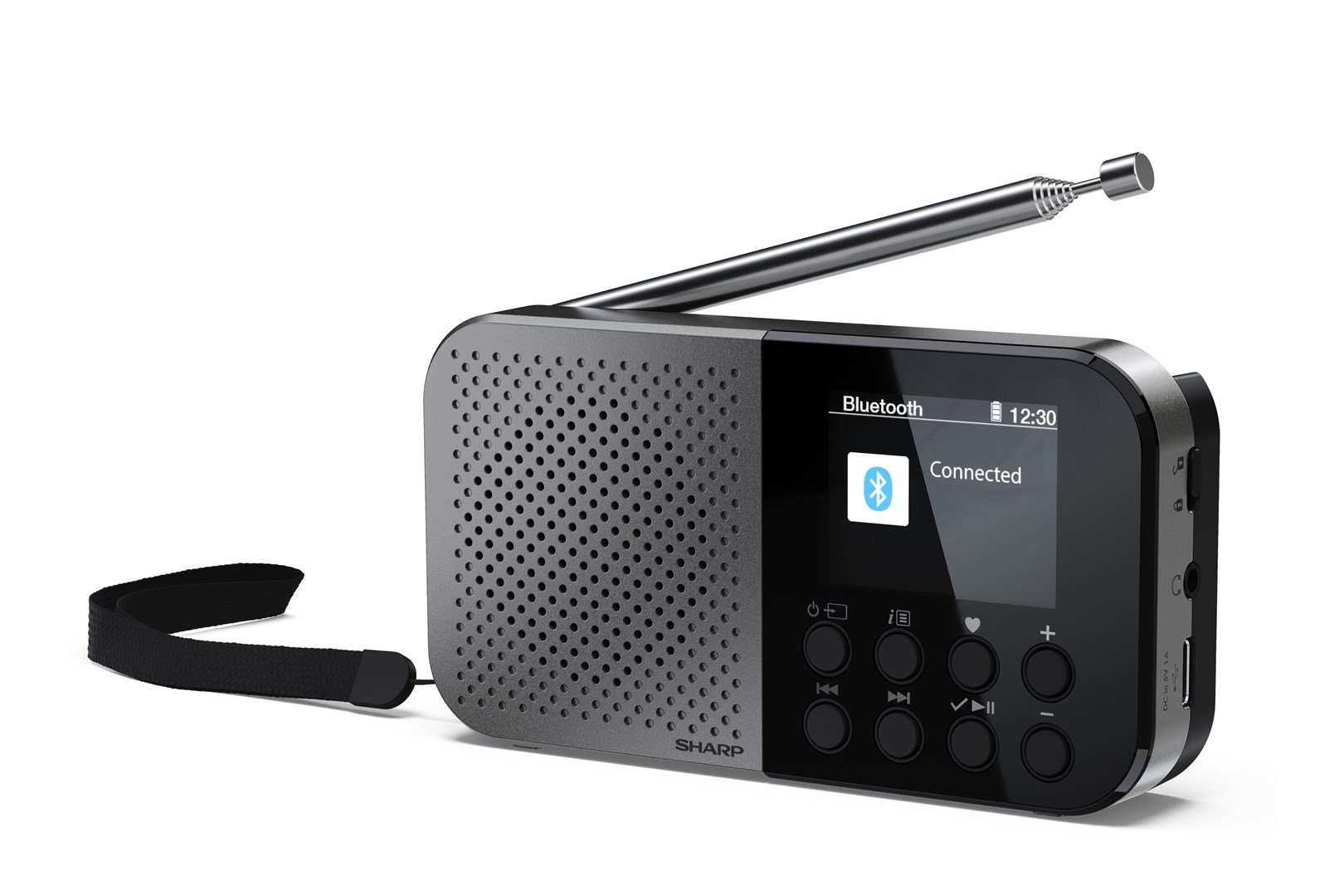 Sharp DR-P520 Personal Digital Grey |
