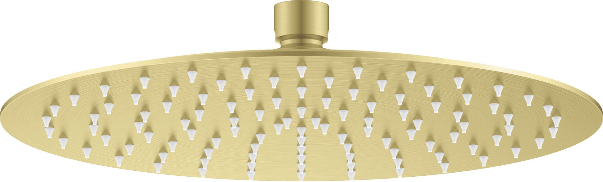 Deante Shower head stainless steel -