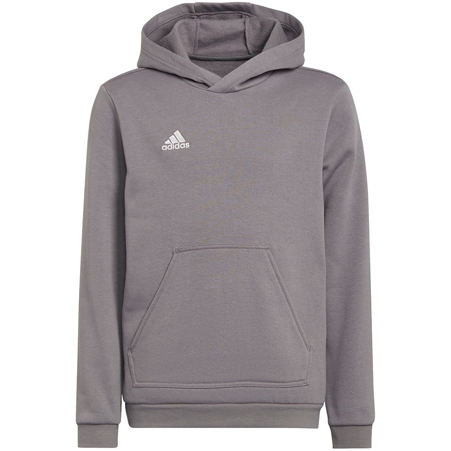 Adidas Sweatshirt for kids Entrada 22