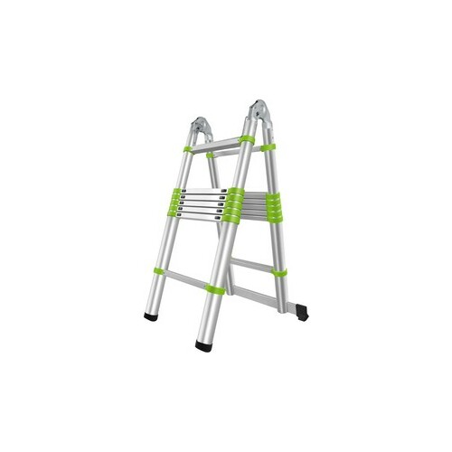 Fieldmann Telescopic Ladder FZZ 4006 |