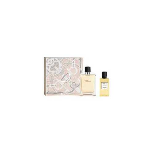 HERMES Terre D´ Gift set EDT