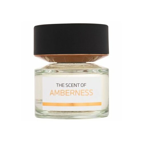 BMW Fragrances The Scent of Amberness