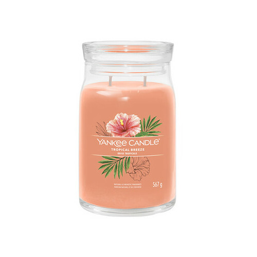 Yankee Candle Tropical Breeze Signature Candle
