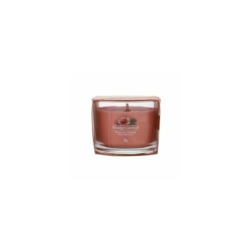 Yankee Candle Tropical Breeze (Unisex, 37