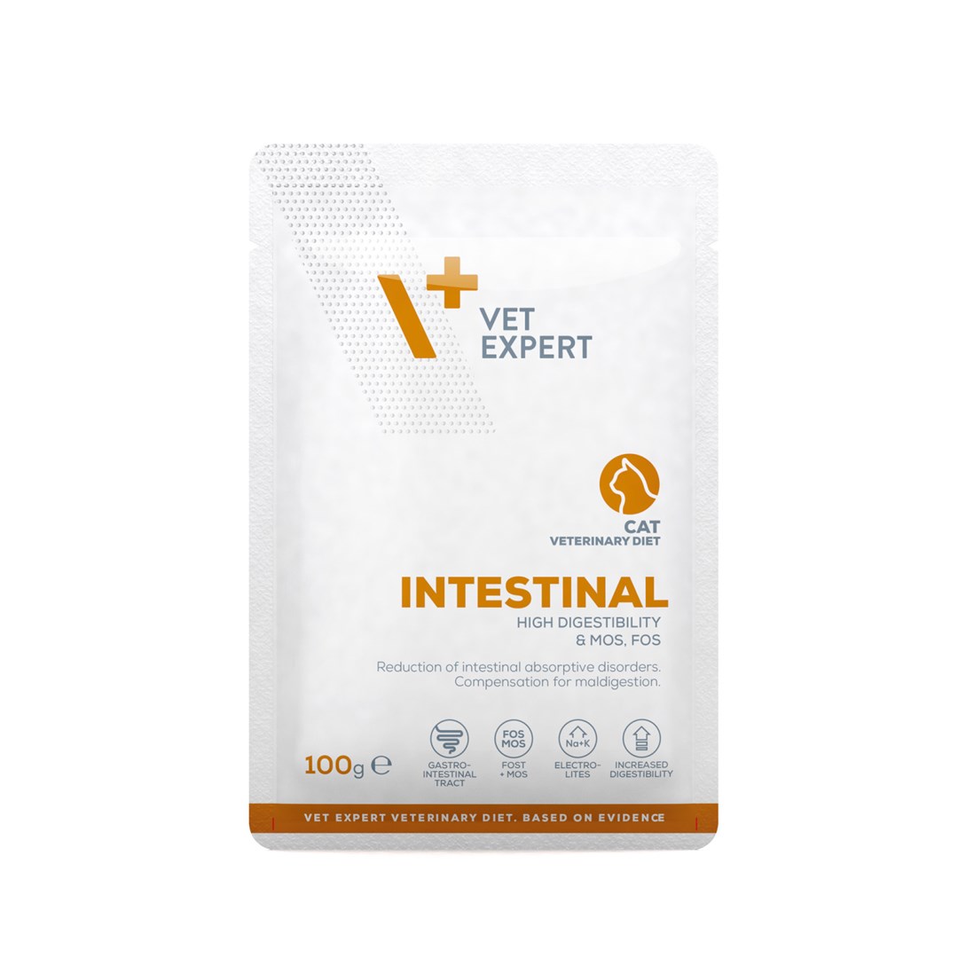 VetExpert Veterinary Diet Intestinal Cat -