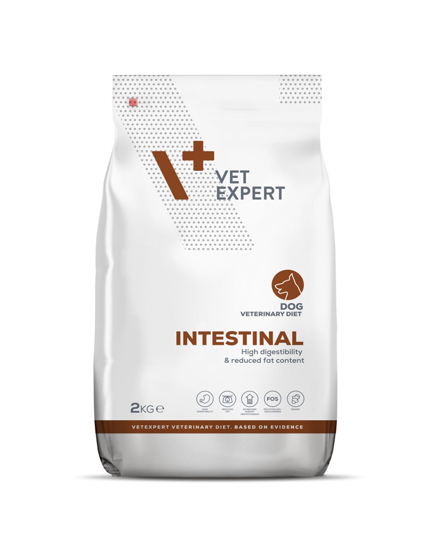 VetExpert Veterinary Diet Intestinal Dog -