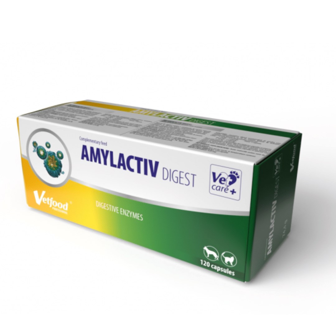 Vetfood  Amylactiv Digest - supplements for