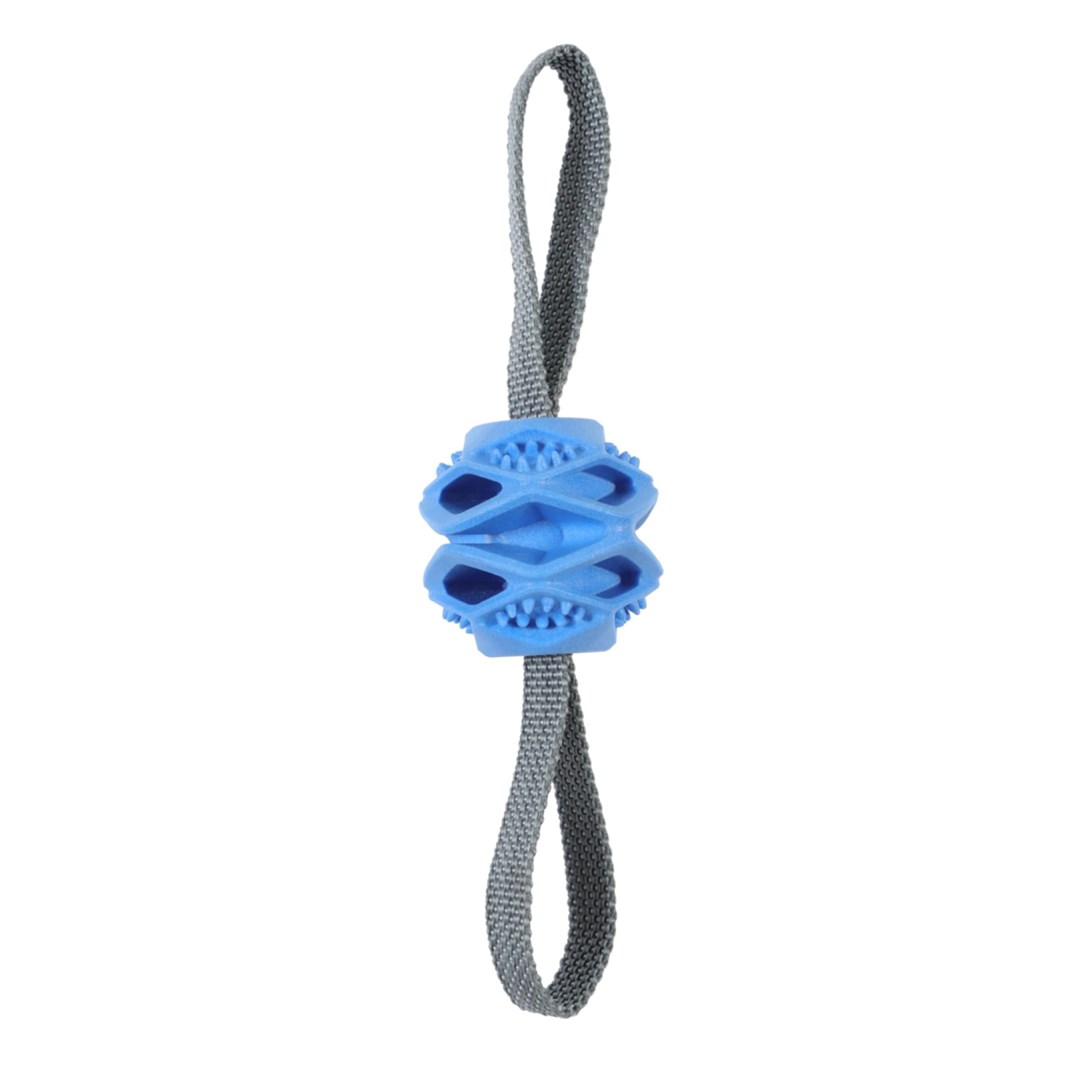 ZOLUX  Ball TPR Outdoor Blue -